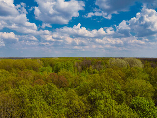 Fototapeta na wymiar Blue cloudy skies over a dense forest, aerial view. Beautiful cloudy sky over the forest.