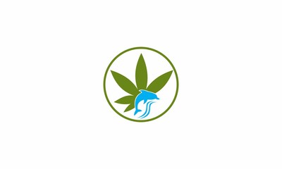 ocean cannabis