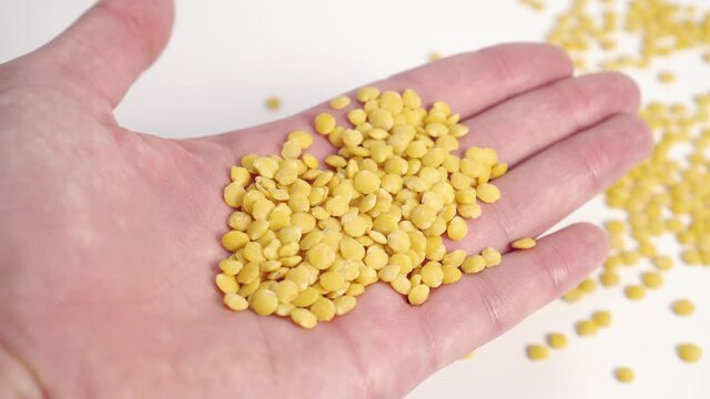 Peeled lentils in the hand. A handful of yellow beans. Cooking healthy, traditional dishes
