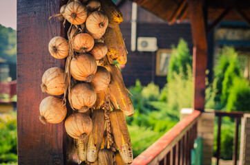 vegetables are dried in a bunch