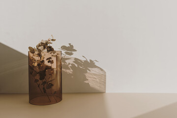 Eucalyptus branch in tan glass vase with sunlight shadows on the wall. Minimal interior decoration design