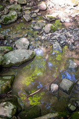 Abstract closeup of leaves and blue sky reflected in woodland stream. High quality photo shows beautiful colors, textures and movement in rippling water against stones and sticks of creek bed. Full