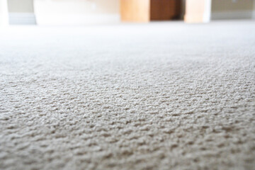 A close up on low carpet.