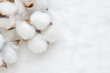  Cotton flowers on white cotton
