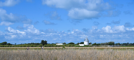 cyclistes dans les marais de l'&icirc;le de r&eacute;