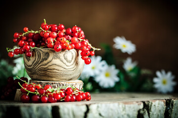 Fresh red currants in plate on dark rustic wooden table. Background with copy space. Selective focus.