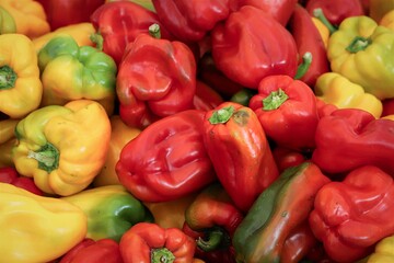 Obraz na płótnie Canvas group of peppers
