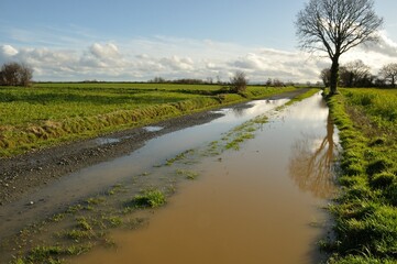 A flooded country lane in Brittany
