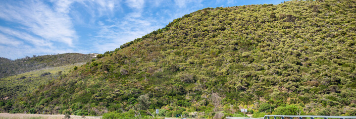 Road across Wilsons Promontory National Park, Australia