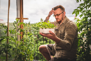 A man is gardening in a city apartment, growing tomatoes and arugula near a window. Emotions of a man about the harvest in his mini-garden.