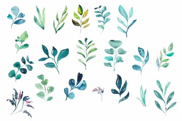 Eucalyptus Leaves set isolated on white blue green background