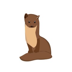 Pine Martens Illustration