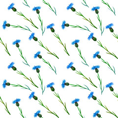 Seamless pattern with wild blue cornflower