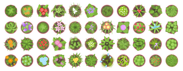 Vector set. Different flowers and plants in pots. Top view. Flowerbeds. View from above.