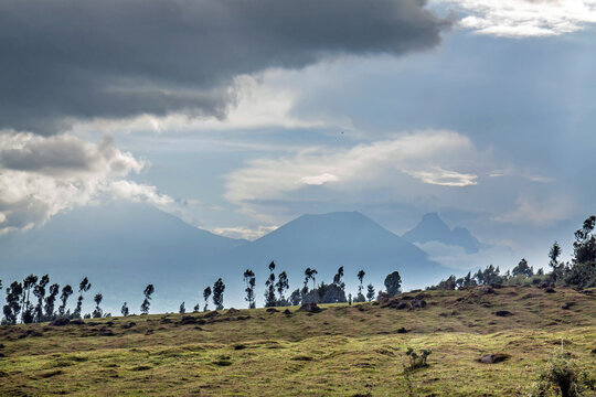 Three volcanoes seen from Rwanda in the border area with the Democratic Republic of Congo: mounts Karisimbi, Bisoke & Mikeno (from left to right).
