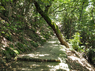 登山道の風景（金華山）