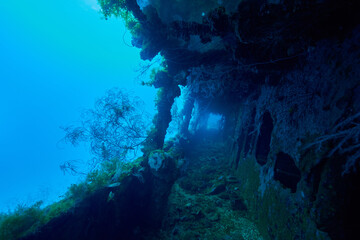 Go inside the shipwreck