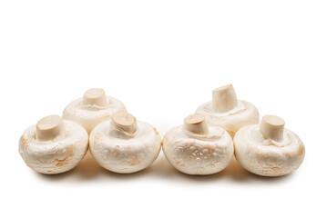 Champignon mushroom isolated on white background.