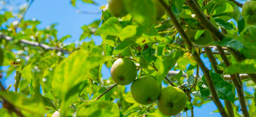 Spiral staircase along the exterior of an office building in sunlight
