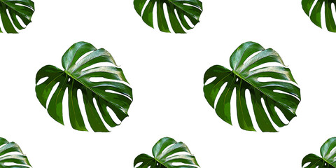 Monstera Deliciosa leaf seamless pattern. Tropical background with jungle plants. Green exotic pattern with palm leaves