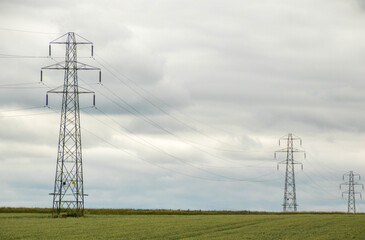 Electric Distribution Lines