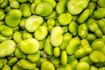 Fresh Broad Beans
