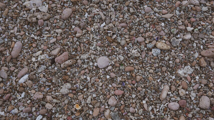 Photo of small stone in beach