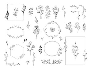 Set of botanical design elements. Frames, borders, wreaths, leaves, herbs, flowers, bouquets. Modern wedding style. Vector isolated illustration.