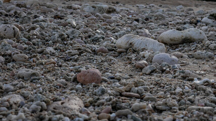 Photo of small stone in beach