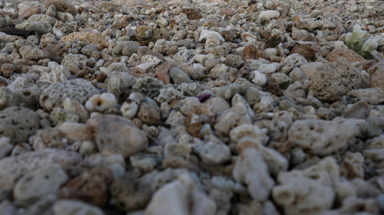Photo of small stone in beach