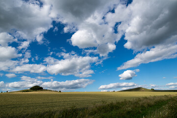 Fototapeta na wymiar Vast Skies over Rural Wiltshire 