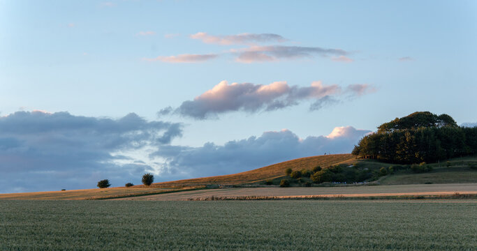 West Wiltshire Downs