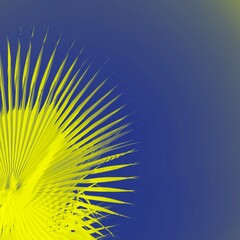 Vivid yellow palm leaves on deep blue background. Copy space