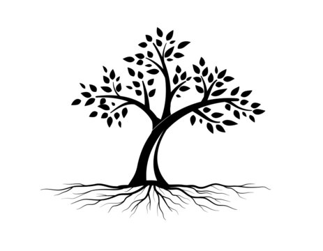 Black Trees and root with leaves look beautiful and refreshing.Tree and roots LOGO style.