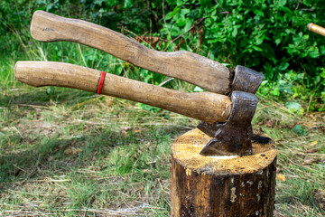 axe in log