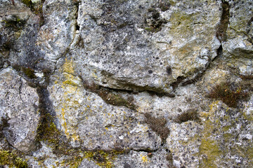 Texture natural stone wall overgrown with moss. Large and small stones form the wall.