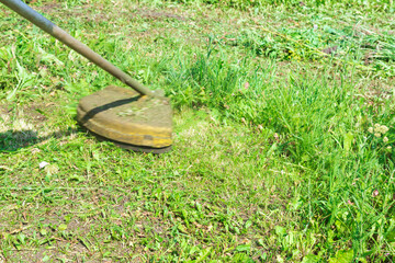 lawn trimmer mower cutting grass in a blurred nature background