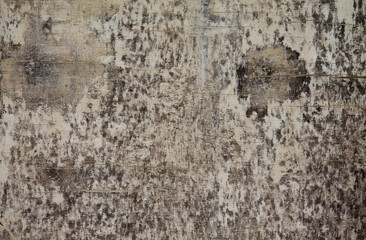 Naklejka premium Texture of the weathered wooden board. With very massive traces of age.