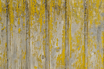 The texture of old scratched yellow wooden planks. Old painted wood wall texture.