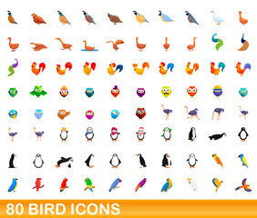 80 bird icons set. Cartoon illustration of 80 bird icons vector set isolated on white background