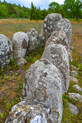 The Gannarves stone Ship is a tomb monument from the Bronze Age. Viking culture. Gotland. Sweden