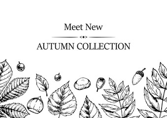 Hand drawn autumn horizontal banner with falling leaves, acorn and berries. Vector illustration in sketch style isolated on white. Space for text. Hello Autumn