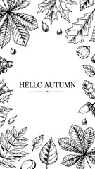 Vertical social network template with hand drawn elements. Autumn design for banners, cards, announcements, newsletters in sketch style. Vector illustration. Space for text