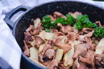 fried Chanterelle or girolle mushrooms or Cantharellus cibarius, with potatoes. fried casserole. summer and autumn seasonal lunch. close up view. homemade dinner. home cooking. forest mushrooms.