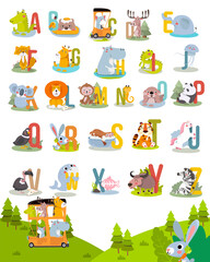 Animal alphabet graphic A to Z. Cute vector Zoo alphabet with animals in cartoon style.