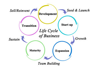 Five stages of Life Cycle of Business.