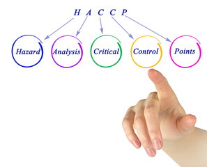 Diagram of HACCP Regulatory Requirements
