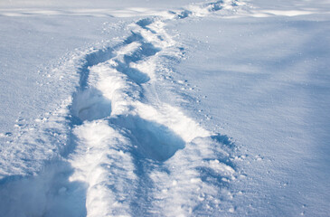 footsteps in snow