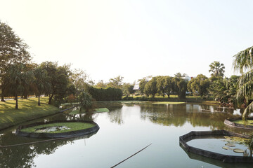 Pond and lotus, Public Park (Suan Luang Rama 9) - Bangkok, in Nong Bon Prawet District, Thailand.