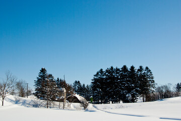 北海道の森と農地の雪景色